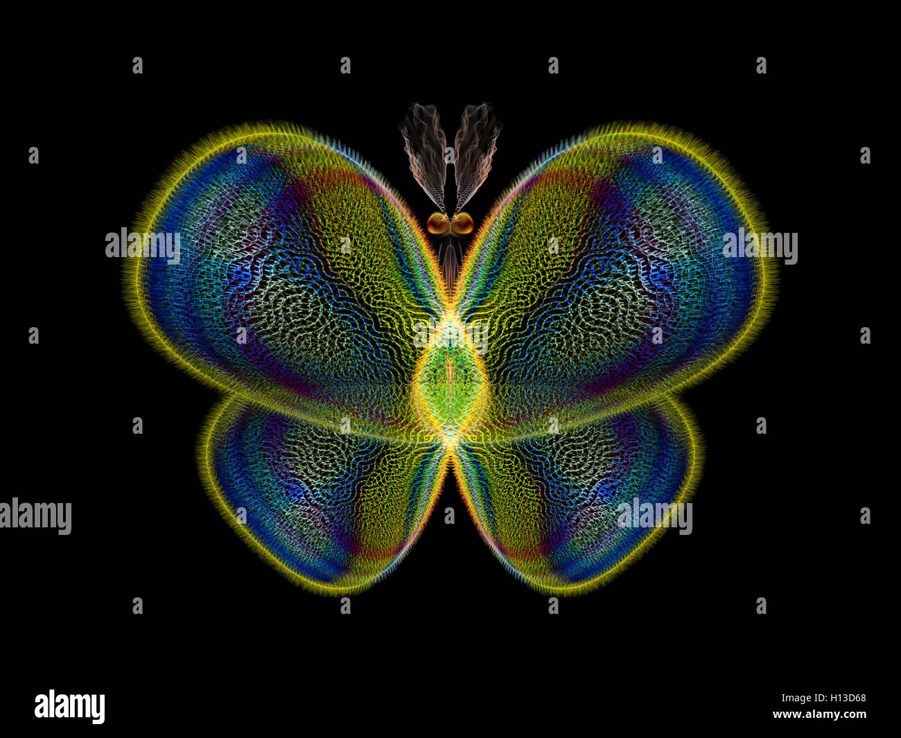 Digital Insect Virtual Butterfly Wing nature hi-res stock photography and images - Alamy