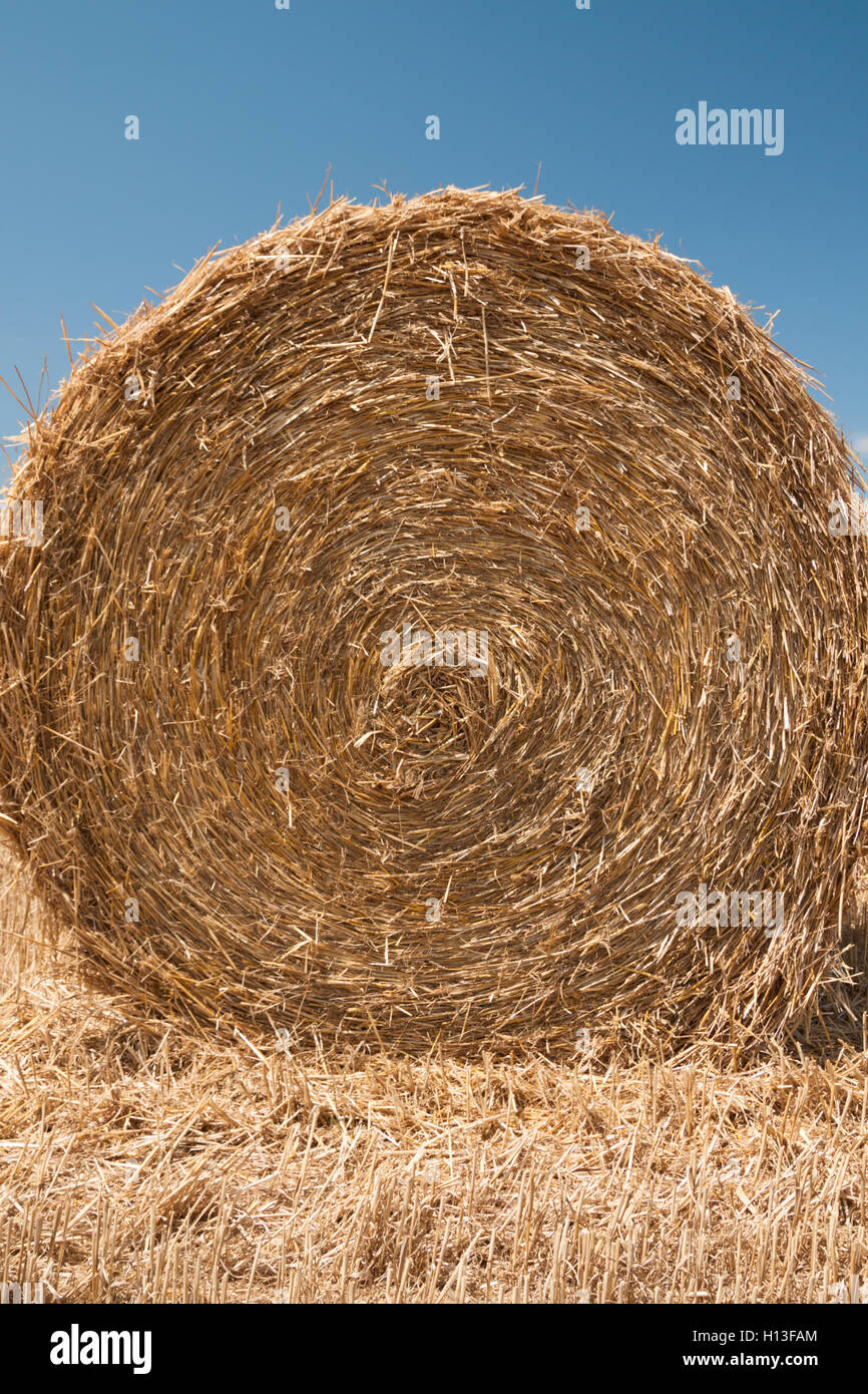 Close up of the straw bale Stock Photo Alamy