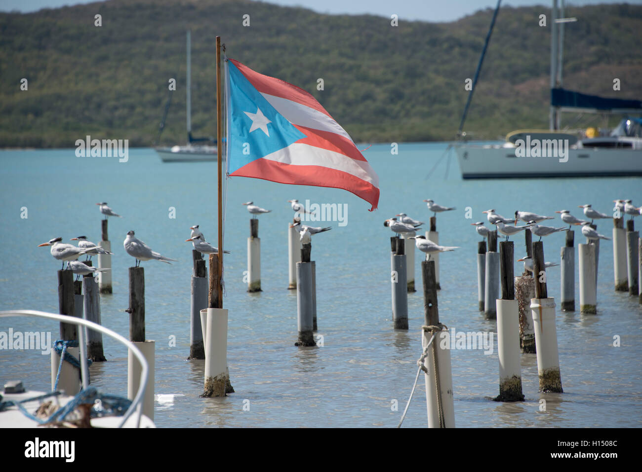 Puerto Rico flag Stock Photo