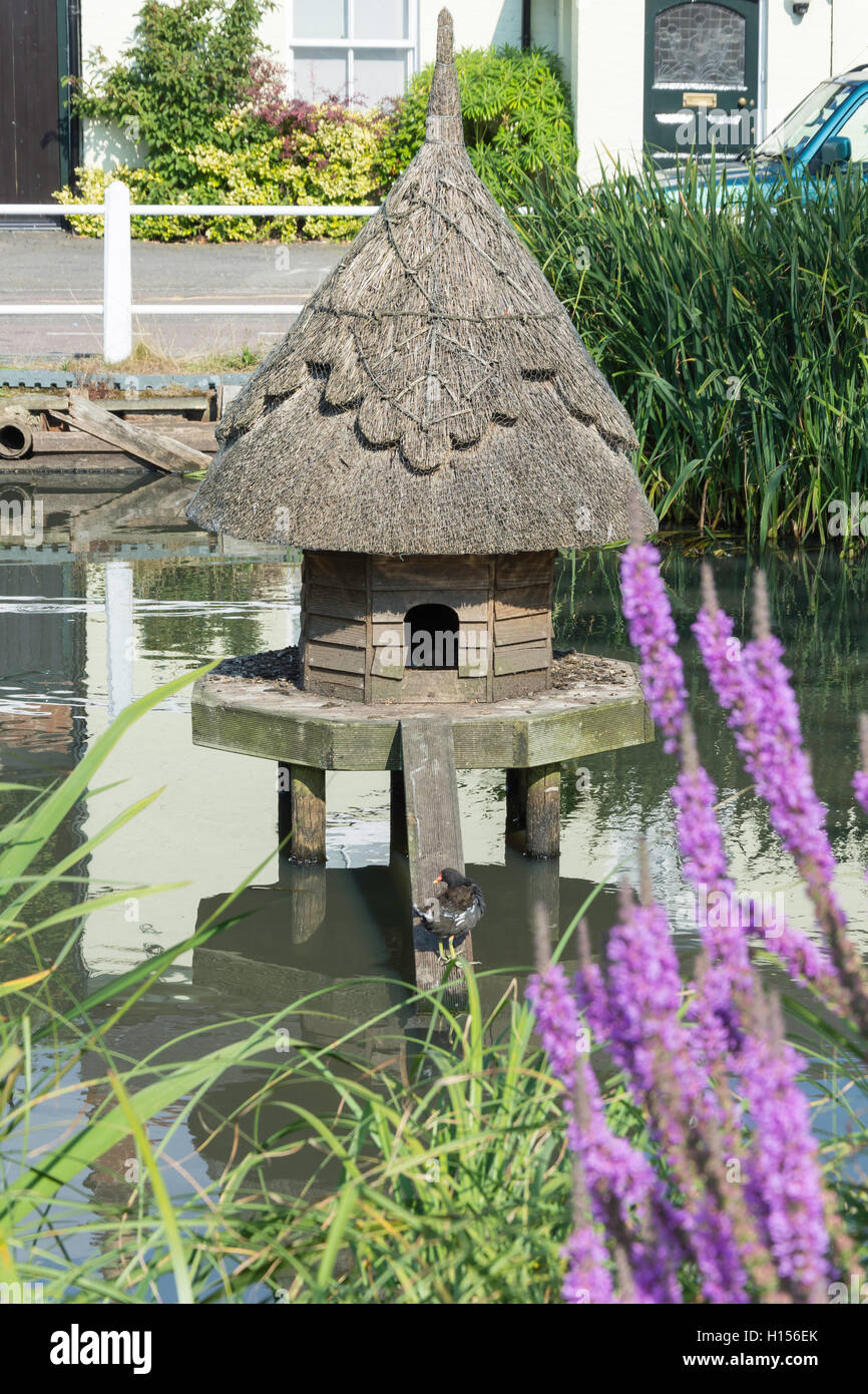 Duck house in village pond, High Street, Hartley Wintney, Hampshire, England, United Kingdom Stock Photo