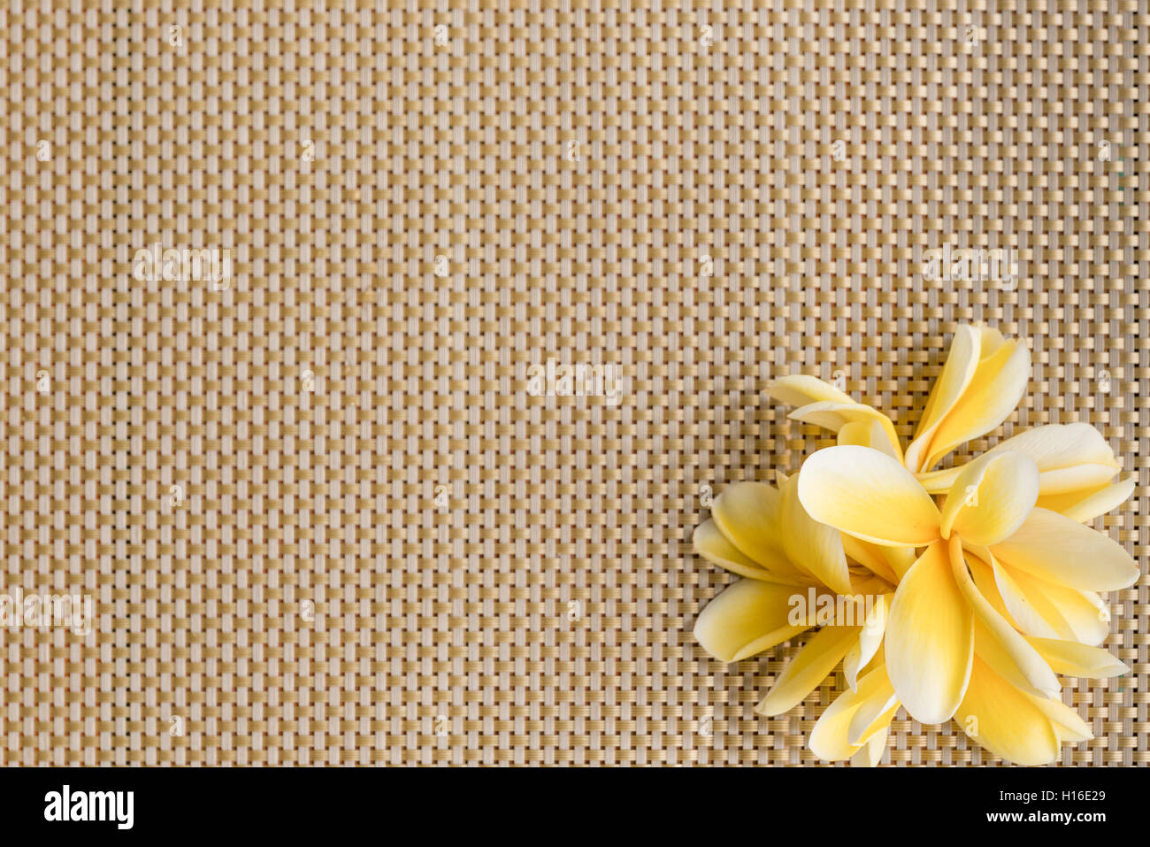 Yellow frangipani / plumeria on placemat background with copy space Stock Photo