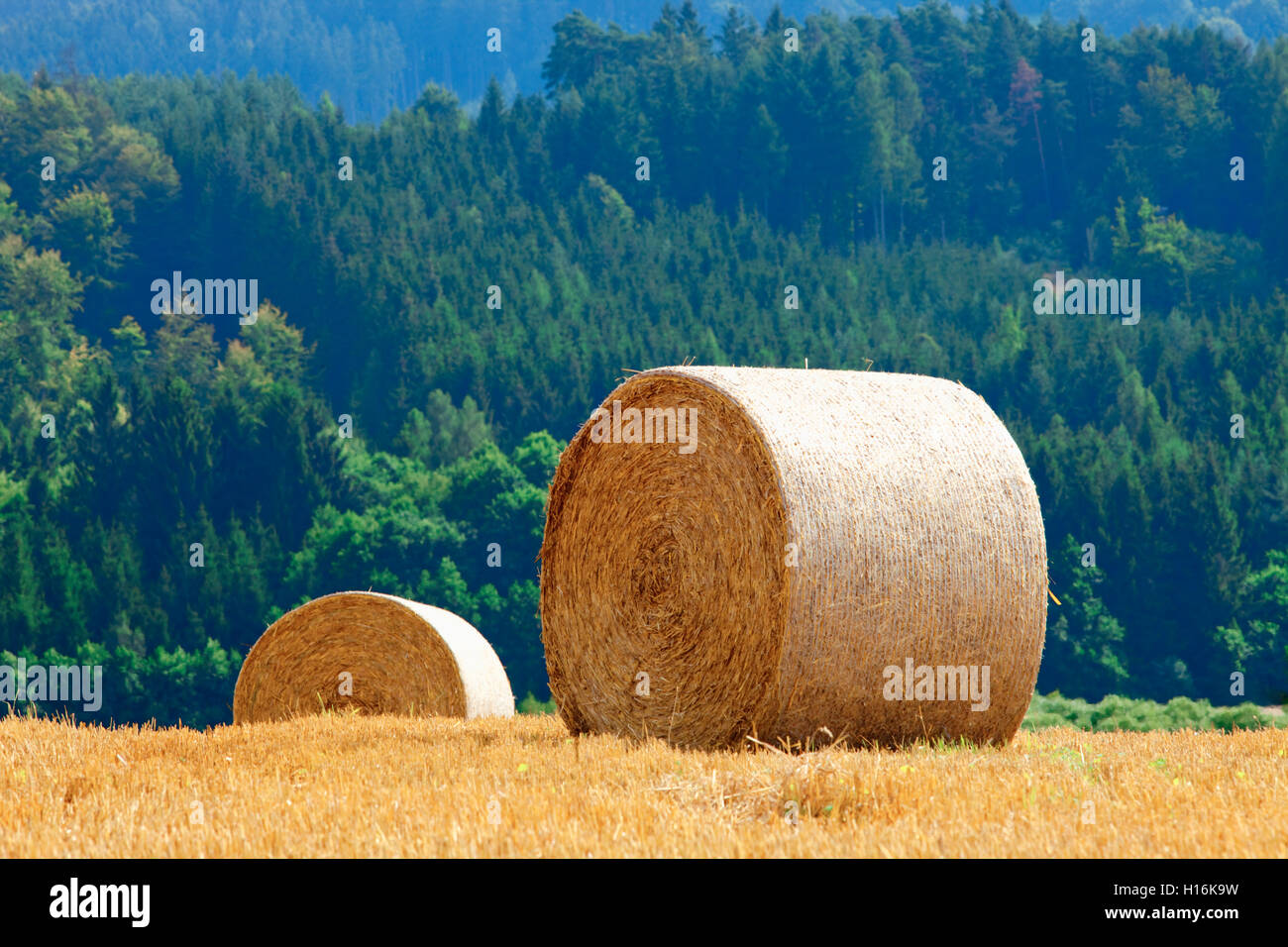 Field with Bales of Hay Stock Photo - Alamy