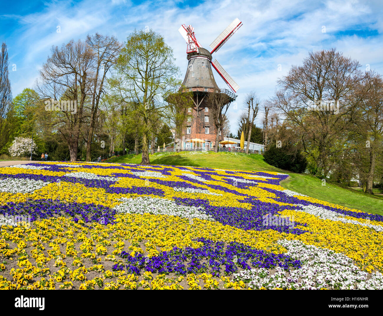 Windmill with colorful flowerbeds, Am Wall Windmill or Herdentorsmühle in the ramparts, spring, mill on the wall, Bremen Stock Photo