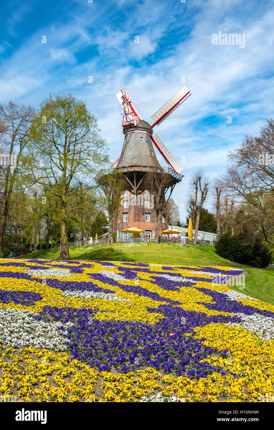 Windmill with colorful flowerbeds, Am Wall Windmill or Herdentorsmühle in the ramparts, spring, mill on the wall, Bremen Stock Photo