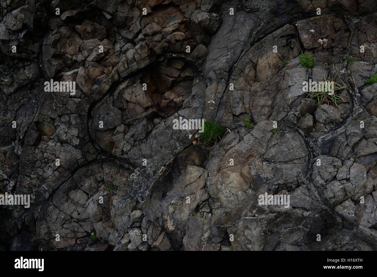 pillow lava at Strumble Head formed under water millions of years ago