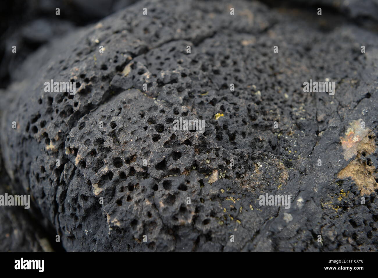 pillow lava with gas bubbles at Strumble Head formed under water millions of years ago when this part of Wales was Volcanic Stock Photo