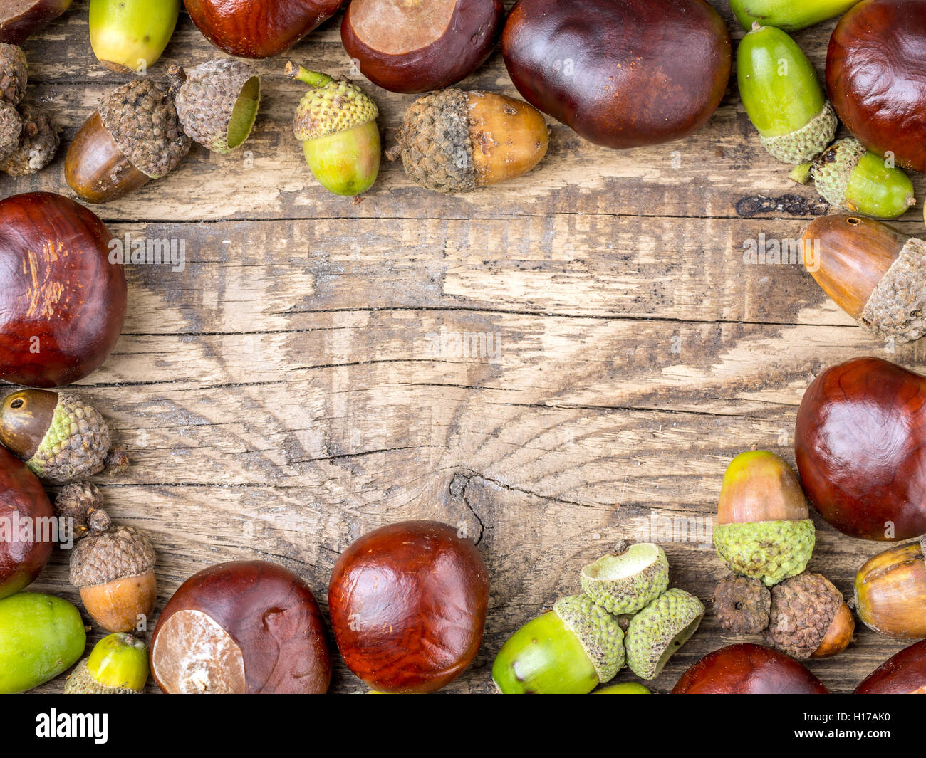 Framework arranged from chestnuts and acorns on wooden plank Stock Photo