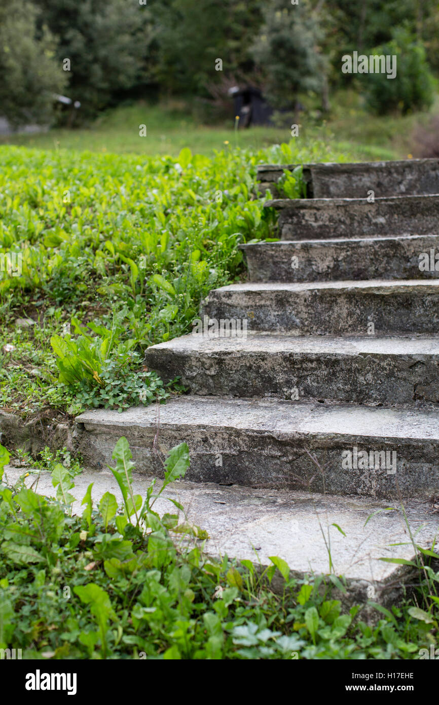 Old concrete steps in an overgrown garden. Stock Photo