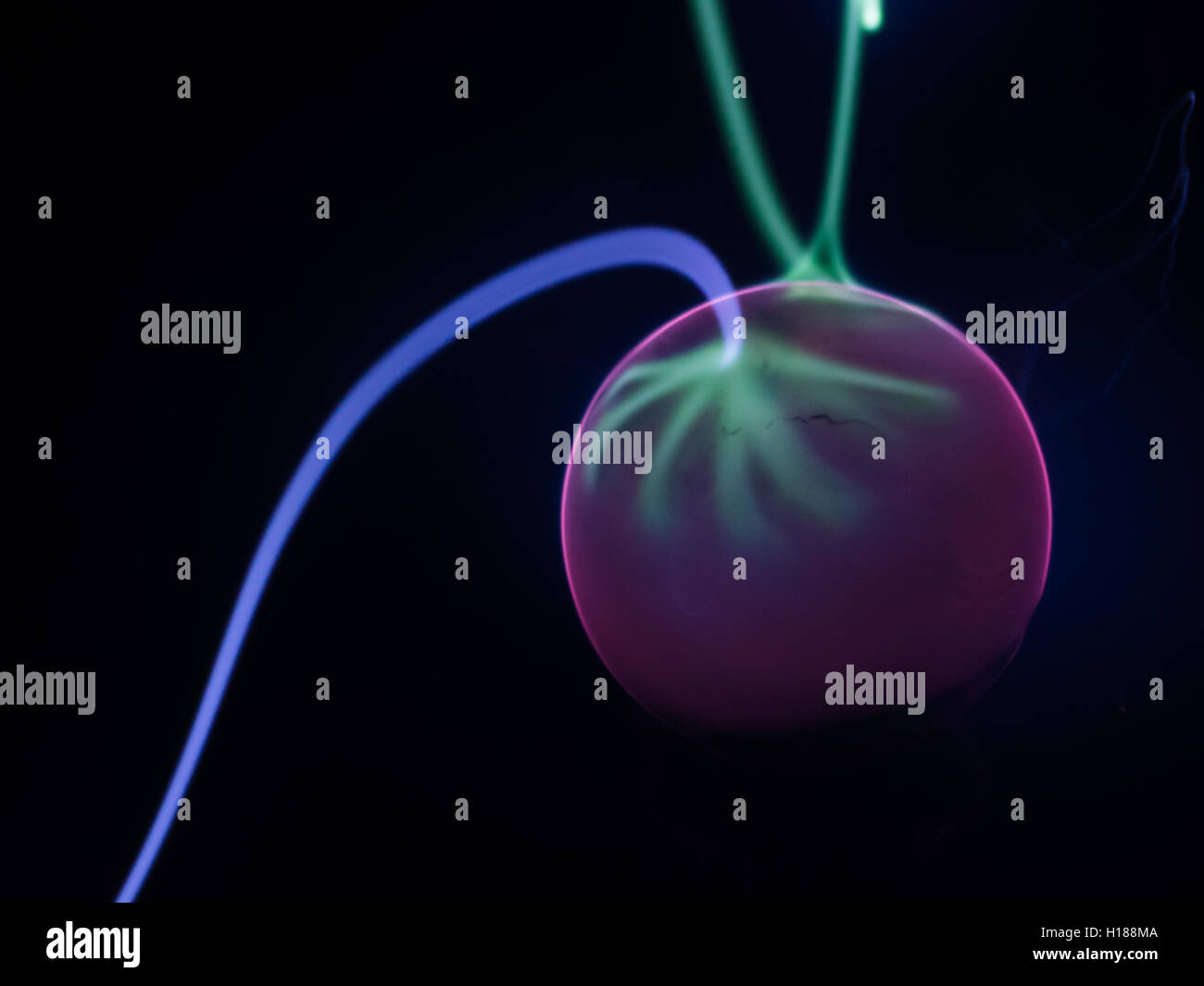 Magical ball with the electricity current display Stock Photo