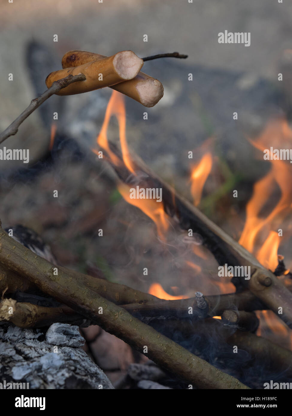 Frankfurters fried over open fire at a camping site in a wild Stock Photo