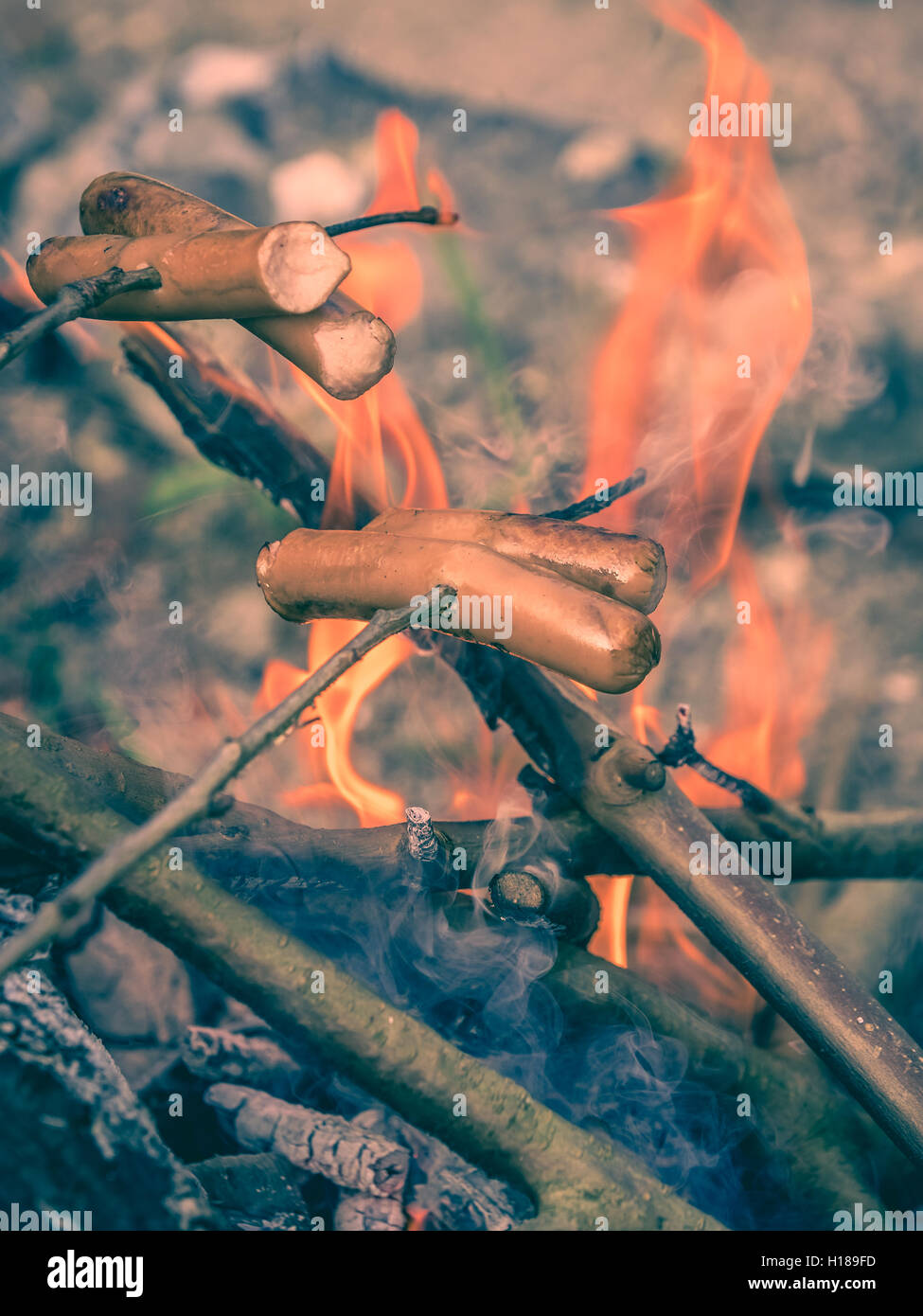Frankfurters fried over open fire at a camping site in a wild Stock Photo