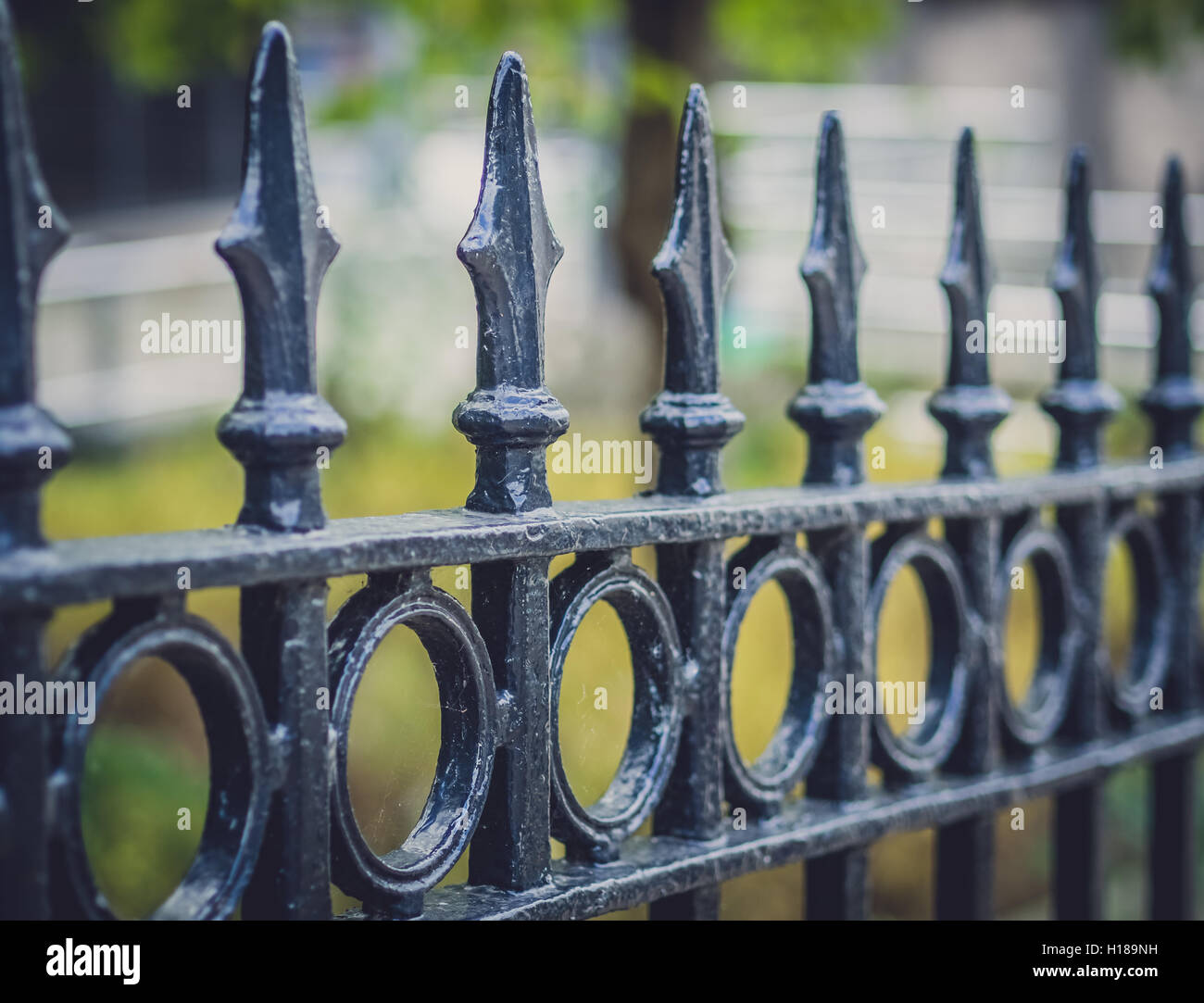 A detail of the wrought iron fence of the railing Stock Photo - Alamy