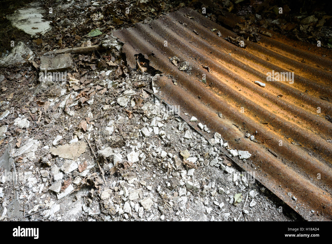 Old rusting corrugated metal rests on a leaf covered floor. Stock Photo
