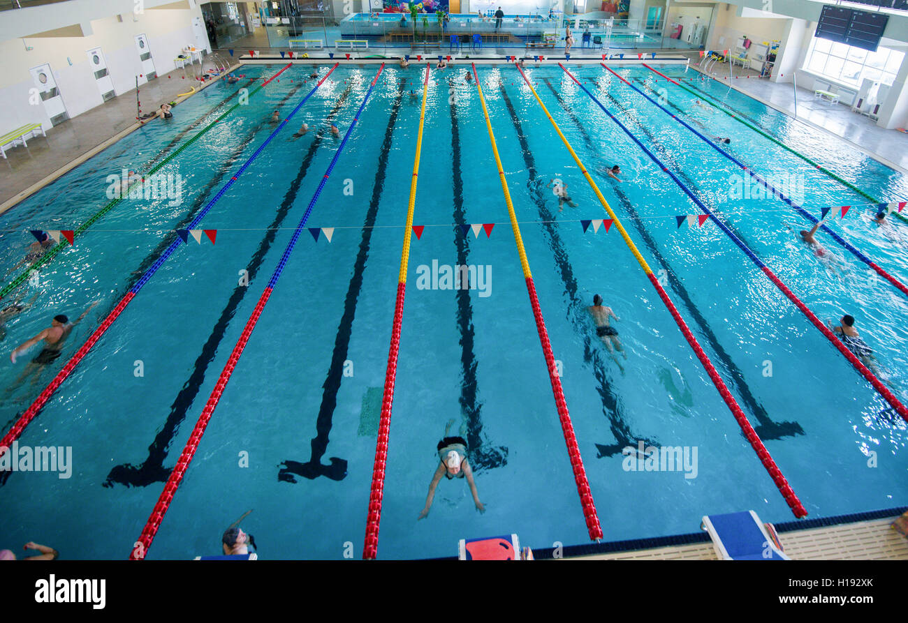 start and lane of swimming pool Stock Photo Alamy