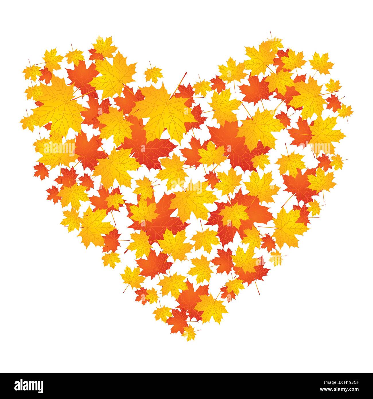 Fall Heart Background Autumn concept heart from maple leaves graphic design. Vector ...