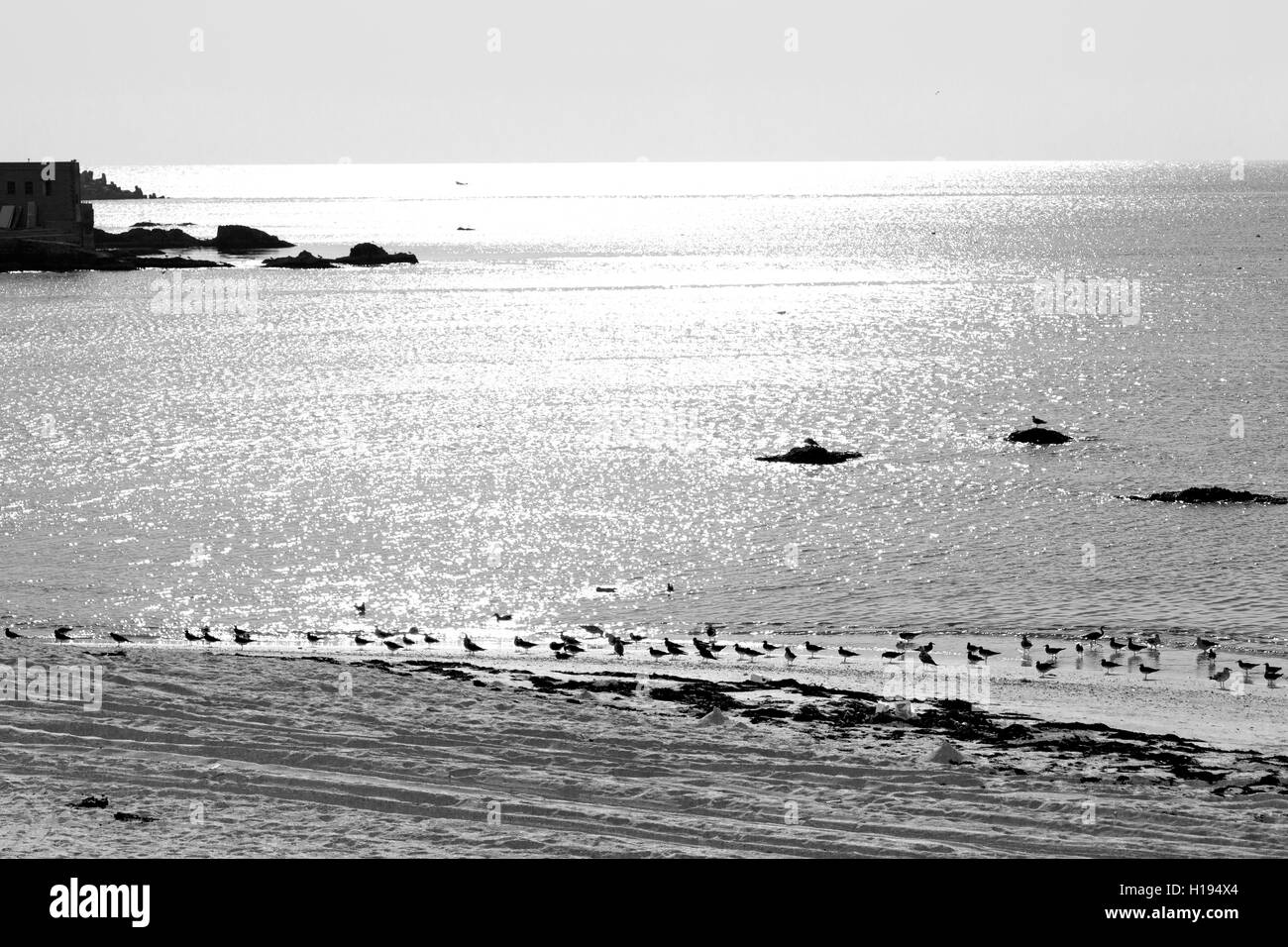 Oman beach sandy Black and White Stock Photos & Images - Alamy
