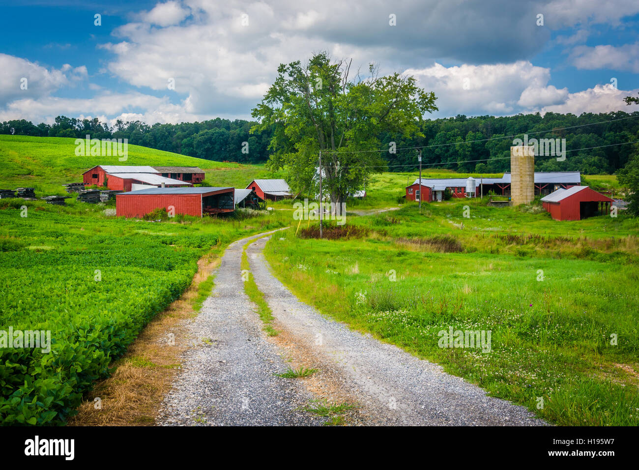 Road and farm in rural Baltimore County, Maryland Stock Photo Alamy