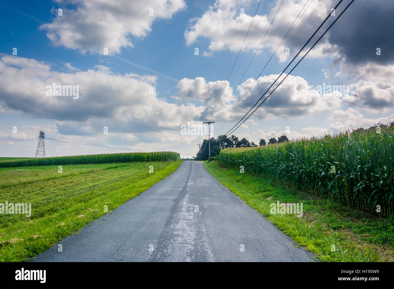 Road in rural Baltimore County, Maryland. Stock Photo