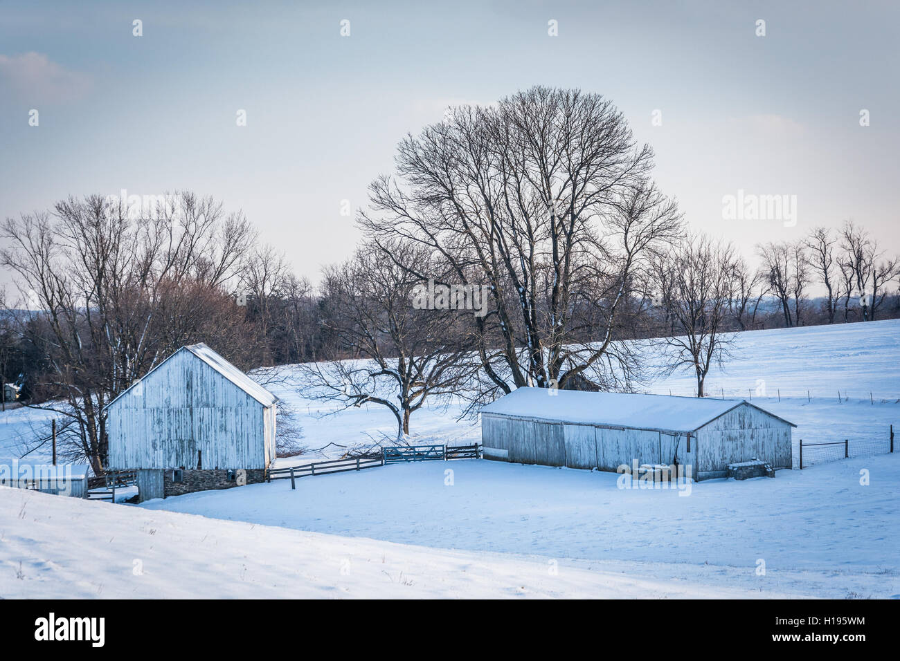 Snow-covered farm in rural Carroll County, Maryland. Stock Photo