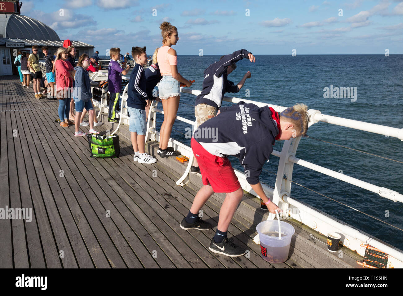Children crabbing and fishing off Cromer Pier, Cromer, North Norfolk England UK Stock Photo Alamy