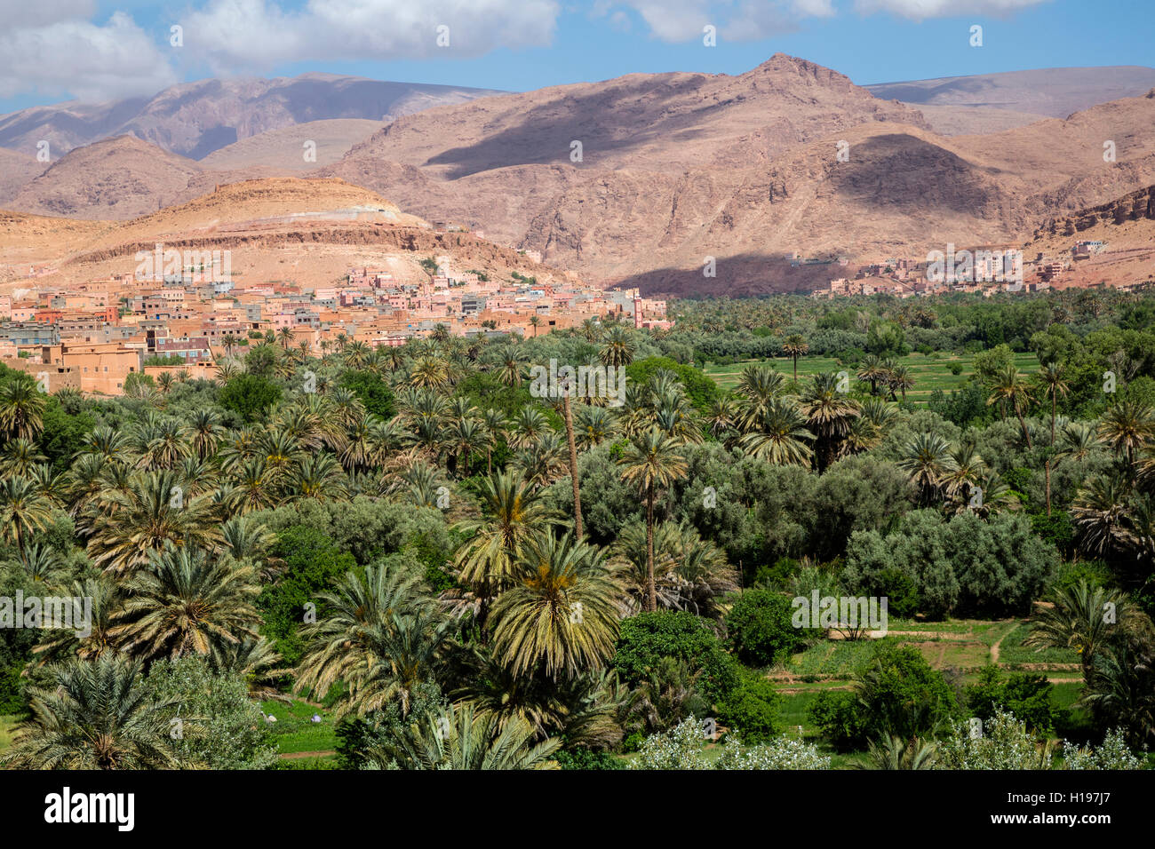 Tineghir Oasis, Morocco. Stock Photo