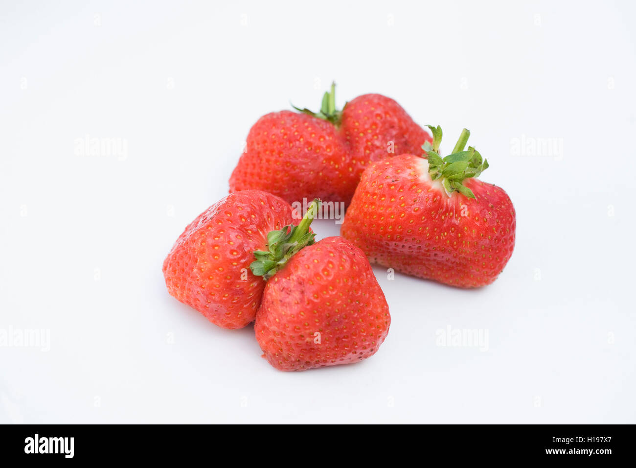 Fragaria. Misshapen strawberries. Stock Photo
