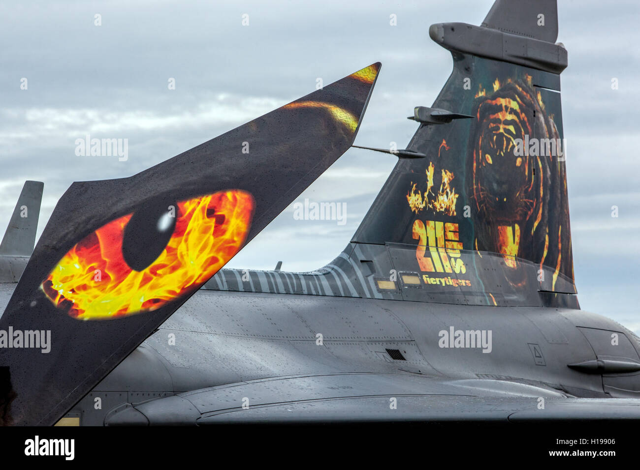 The fiery Tiger JAS-39 C Gripen Saab, Czech Air Force Stock Photo - Alamy