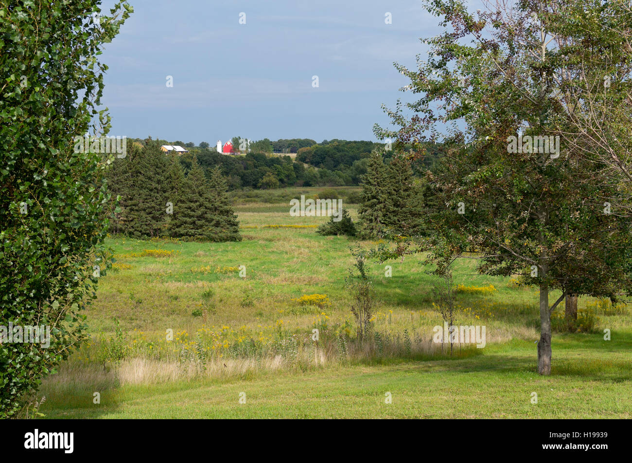 prairie grasses mixed woodlands of conifers and deciduous trees and
