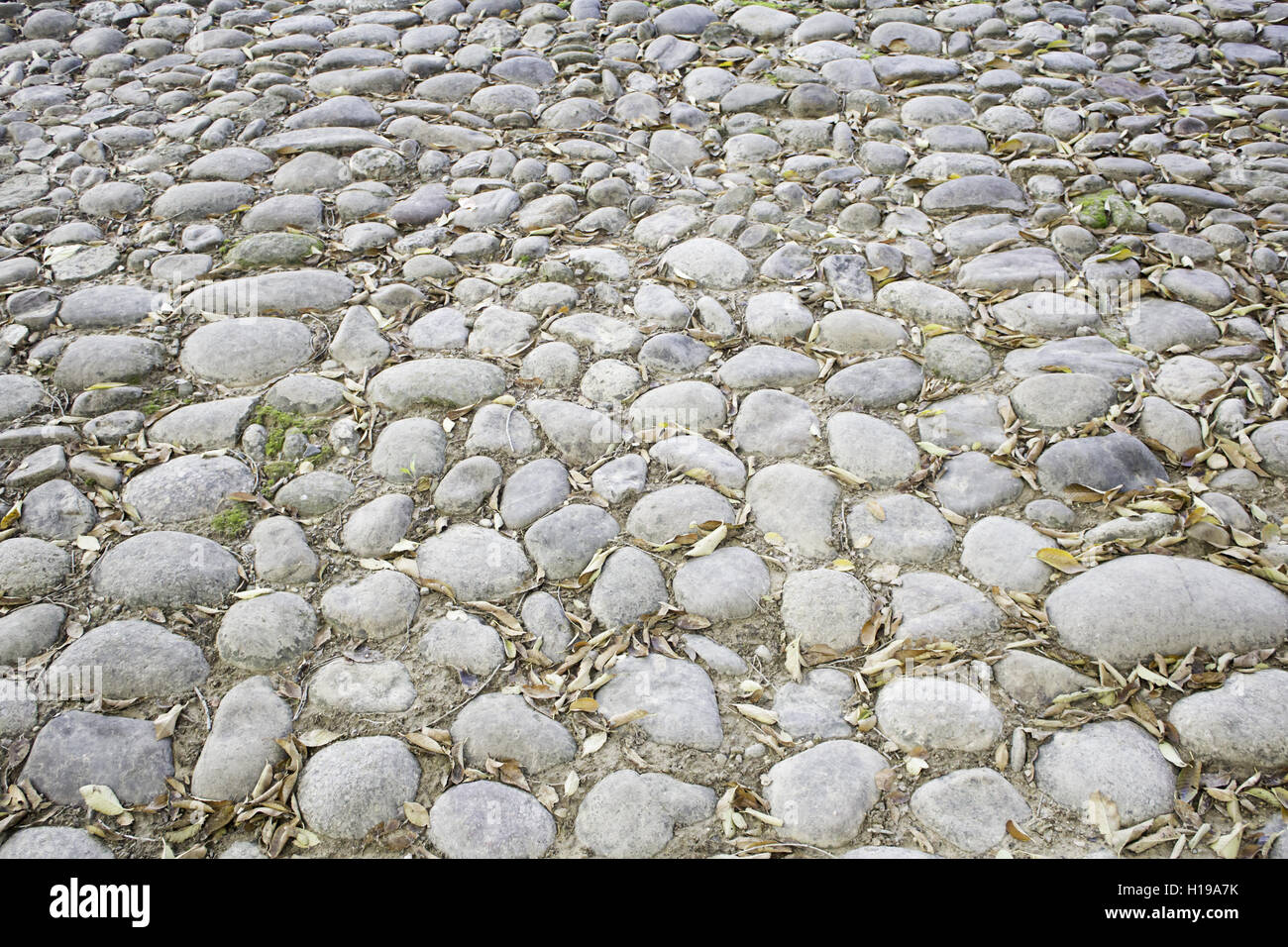 Large decorative stones on urban land, texture Stock Photo Alamy