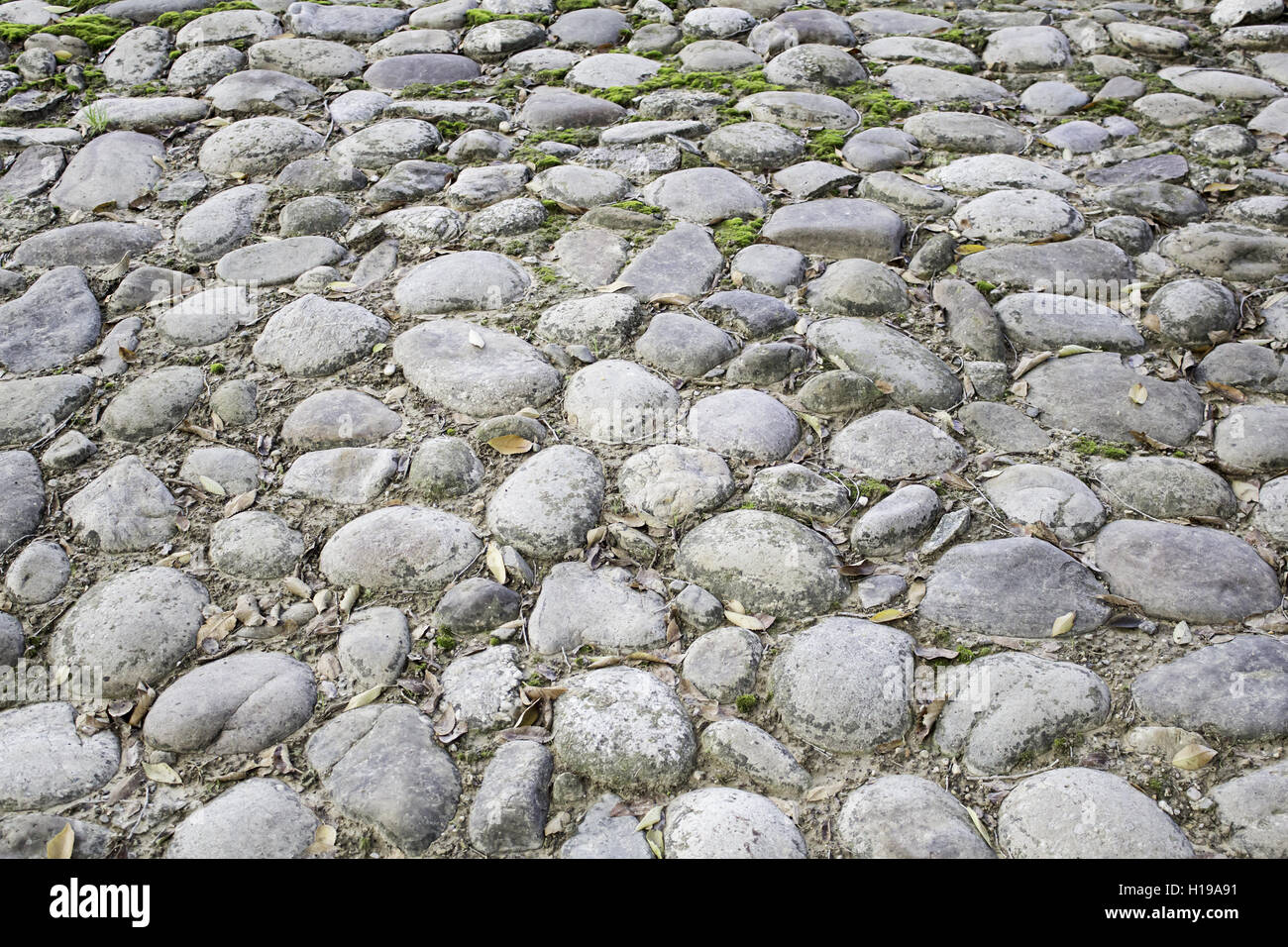 Stones in urban street road, nature Stock Photo Alamy