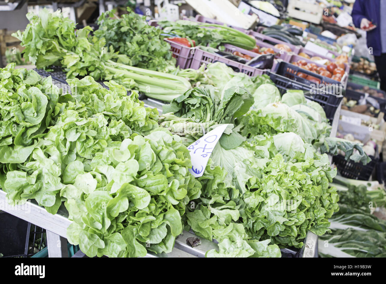 Lettuce district greengrocers with vegetables and fruits, trade Stock Photo Alamy