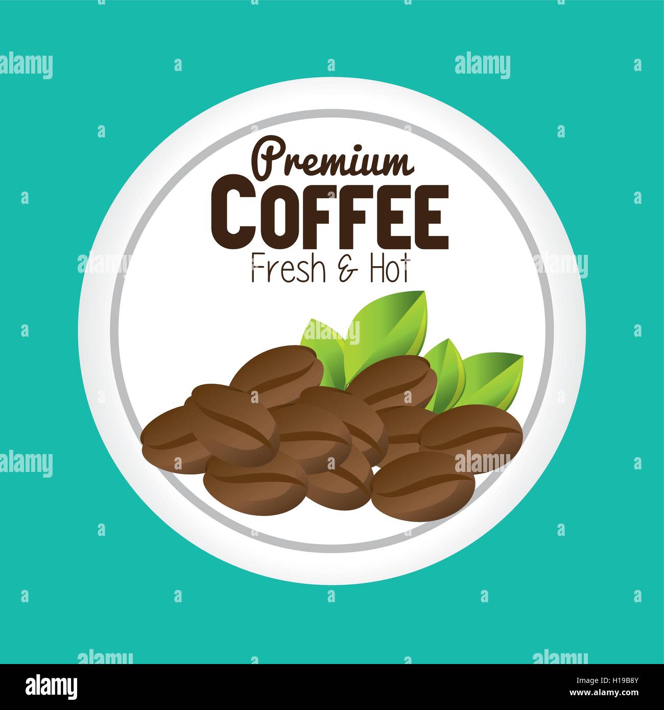 premium coffee beans