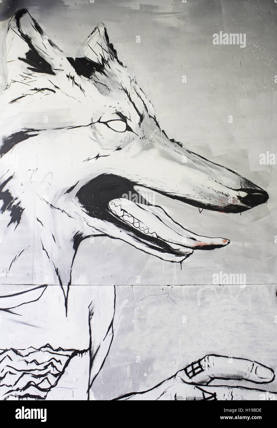 Wolf aggressive urban wall decoration Stock Photo
