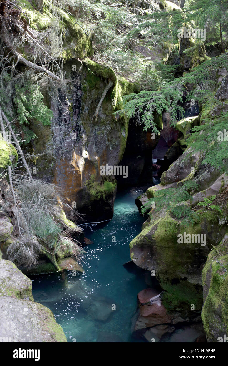 Avalanche Creek Glacier National Park Montana Stock Photo Alamy Avalanche Creek Glacier National Park Montana Stock Photo Alamy