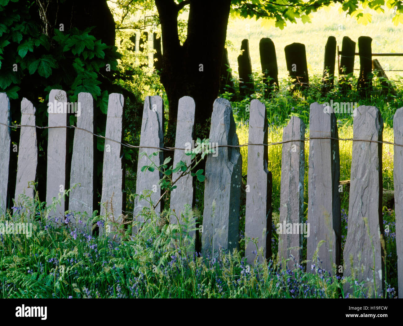 Traditional slate fence made from waste slabs or off cuts from the local slate quarries