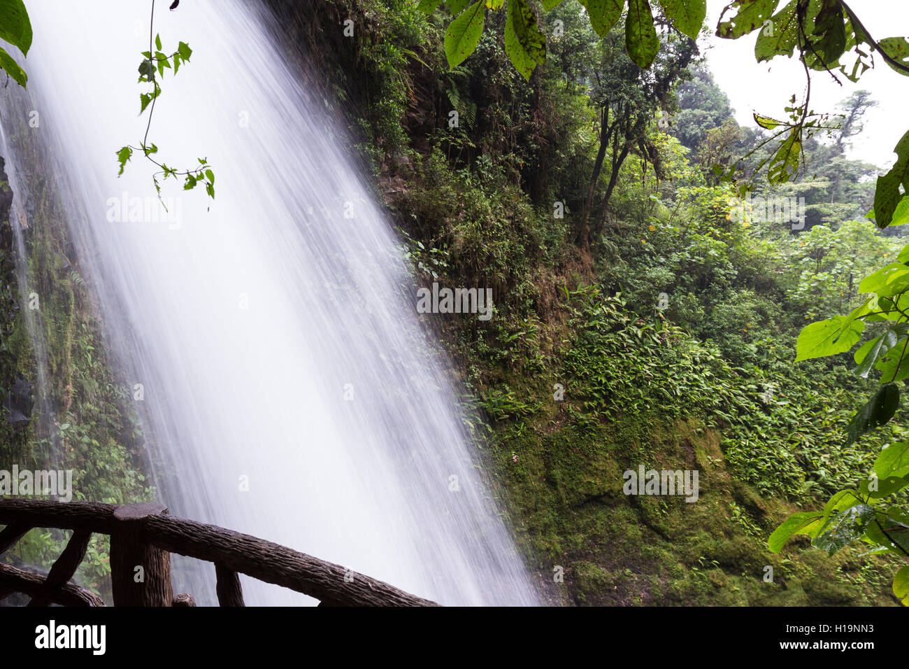 beautiful waterfall in a tropical rain forest in central Costa Rica