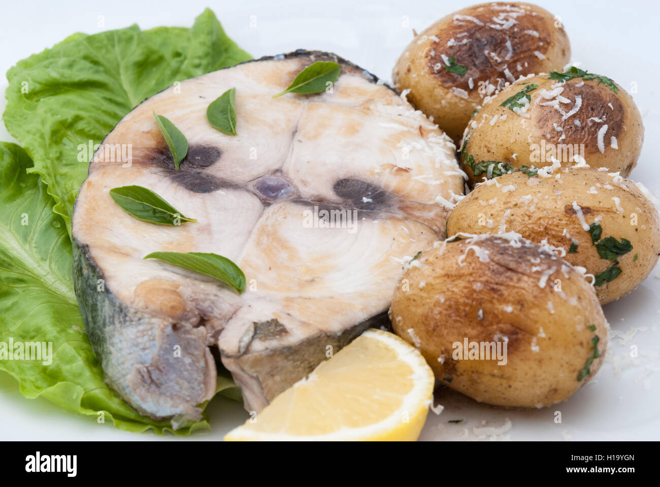 Fried red tuna steak served with piece of lemon and baked potato on the white plate closeup. Stock Photo