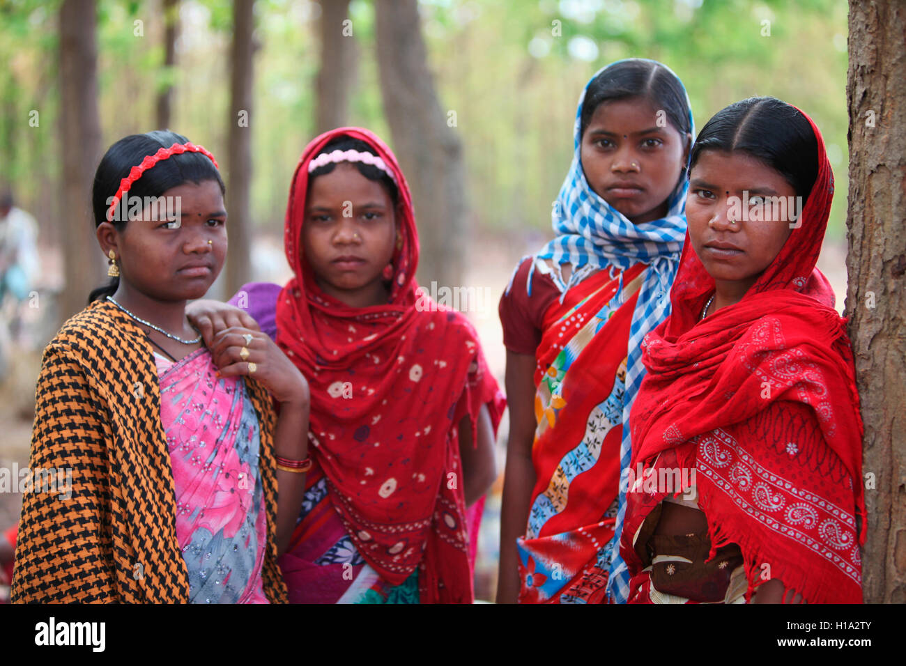 Tribal Women, Dhurwa Tribe, Pandripani Village, Chattisgadh, India Stock Photo