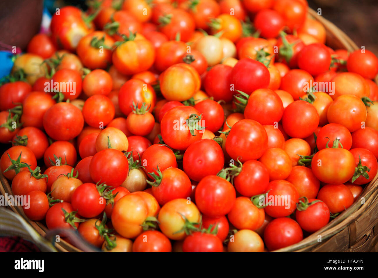 Tomatoes for sell, Dhurwa Tribal Market, Pandripani Village, Chattisgadh, India Stock Photo