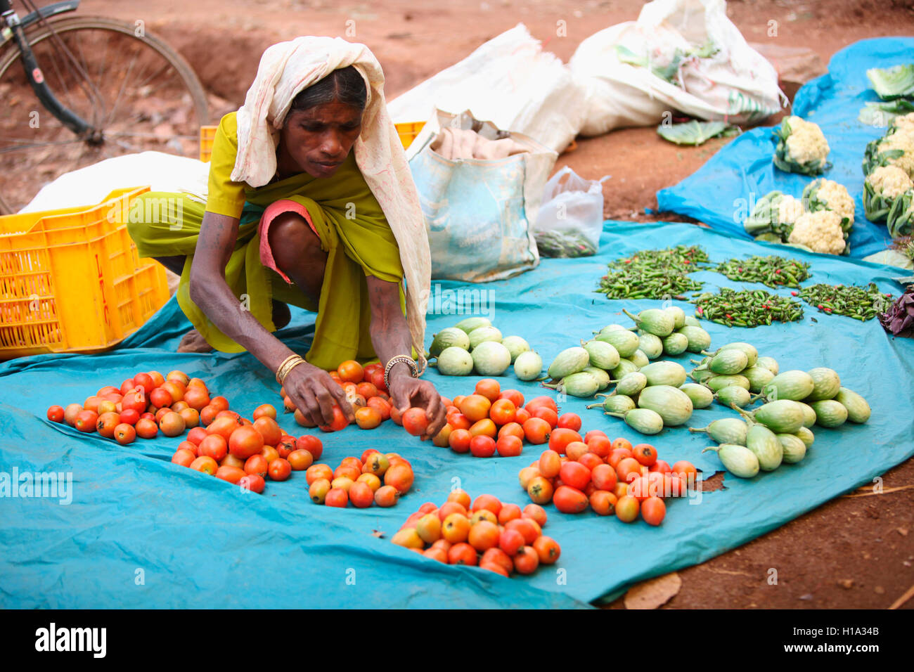 Vegetable vendor, Dhurwa Tribal Market, Pandripani Village, Chattisgadh, India Stock Photo