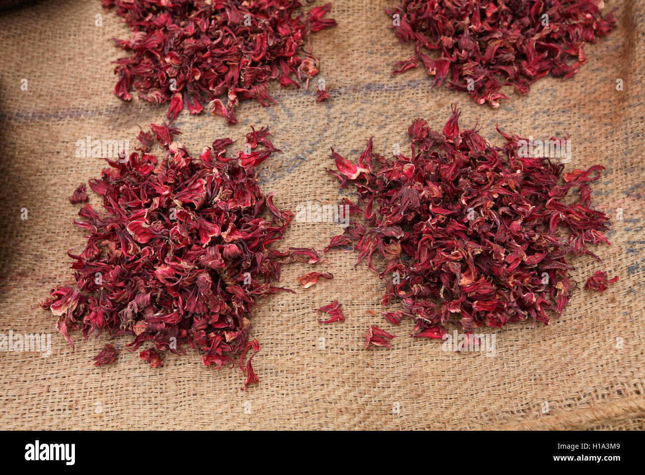 Dry red Ambadi leaves for sell, Dhurwa Tribal Market, Pandripani Village, Chattisgadh, India Stock Photo