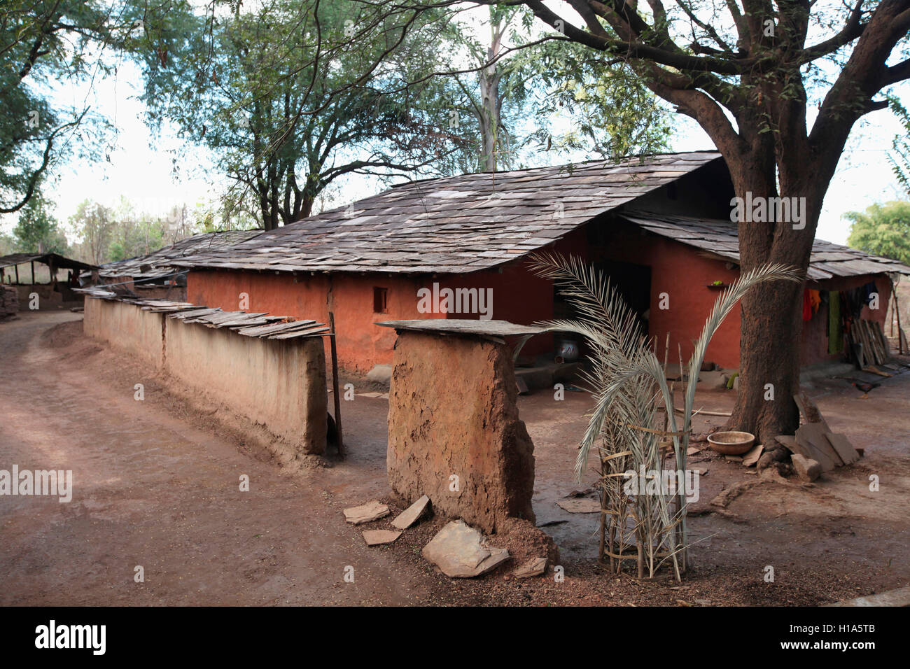 Tribal house, Dhurwa Tribe, Village Gonchapar, Chattisgarh, India Stock Photo