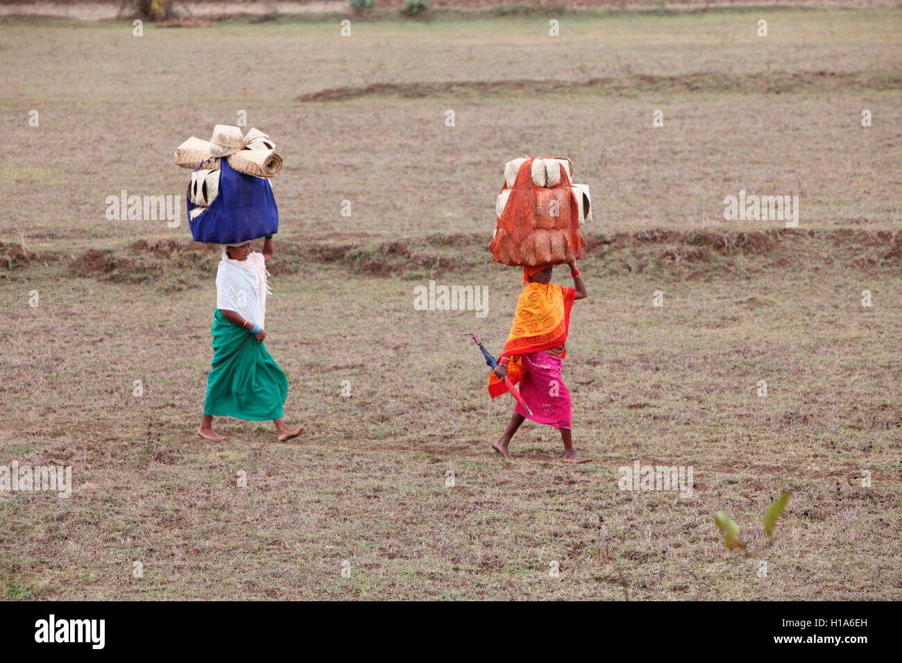 Tribal women going to the market, Chattisgarh, India Stock Photo