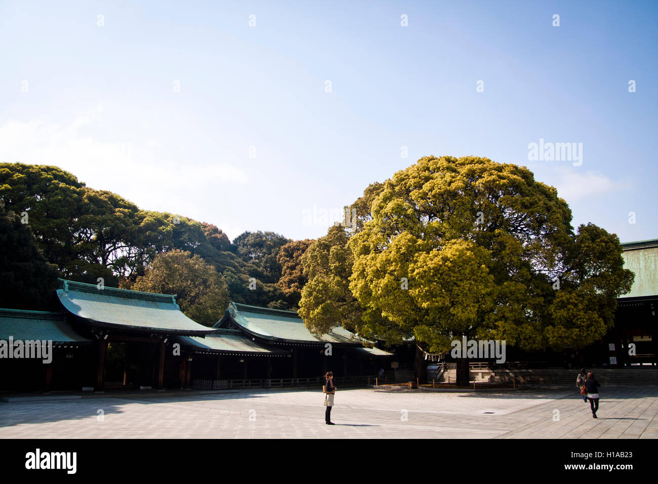 Visitors walk through the ground of the Meiji Shrine, Tokyo, Japan Stock Photo