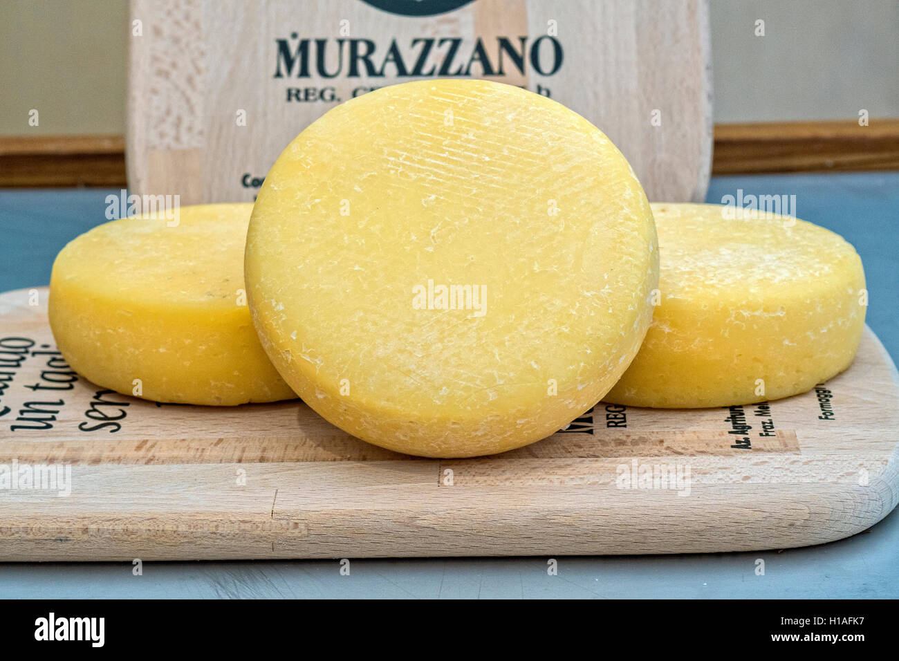 Italy Piedmont Turin 'Mother Earth -  Salone del Gusto 2016 ' - The theme of this year's edition is LOVING THE EARTH - Piedmont Cheese Murazzano Dop Stock Photo