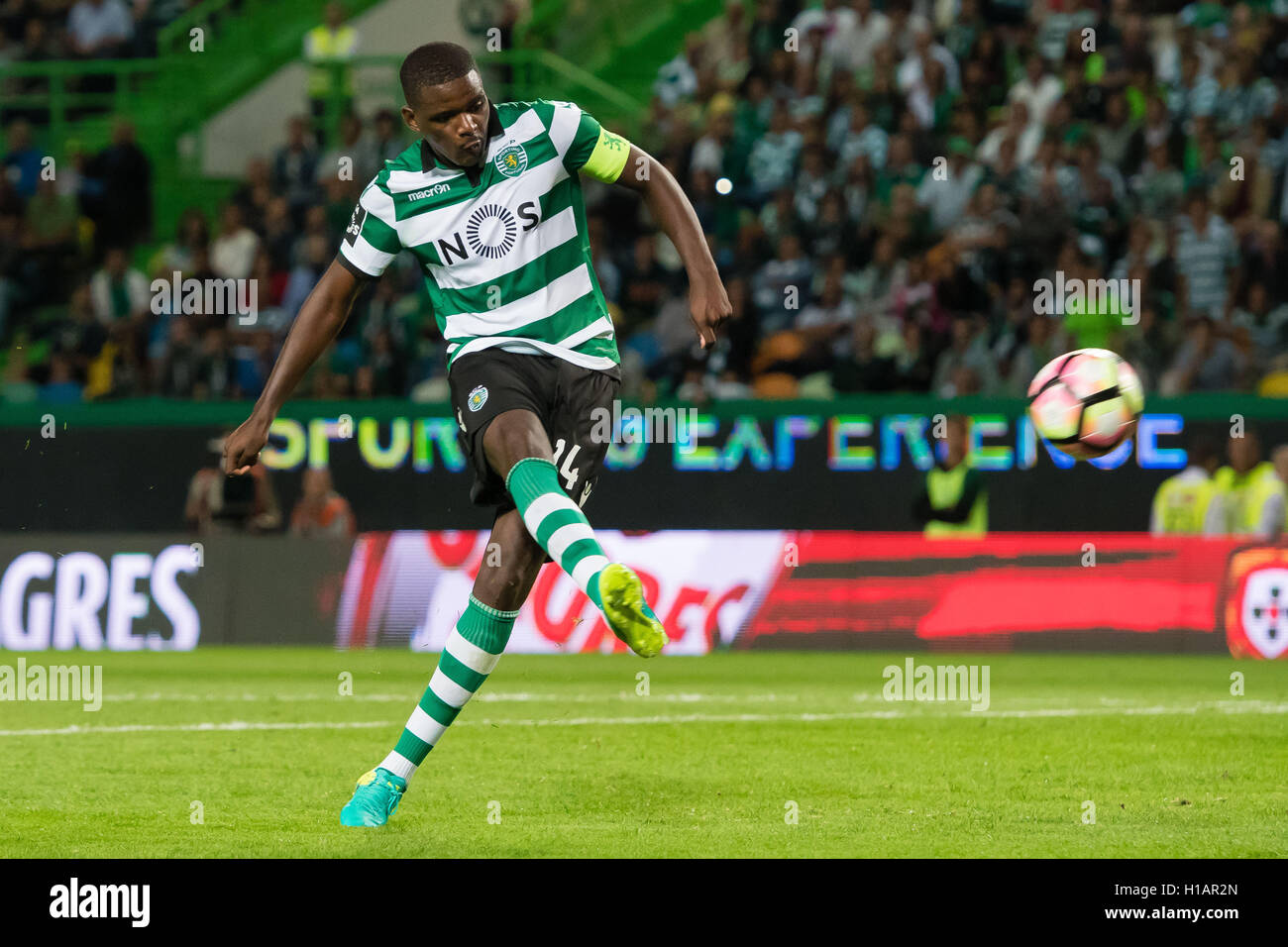 Portugal, Lisbon, Sep. 23, 2016 - PORTUGUESE FOOTBALL - Wlliam Carvalho in action during Portuguese First League match between Sporting and Estoril at Alvalade XXI Stadium, in Lisbon, Portugal. Credit:  Bruno de Carvalho/Alamy Live News Stock Photo