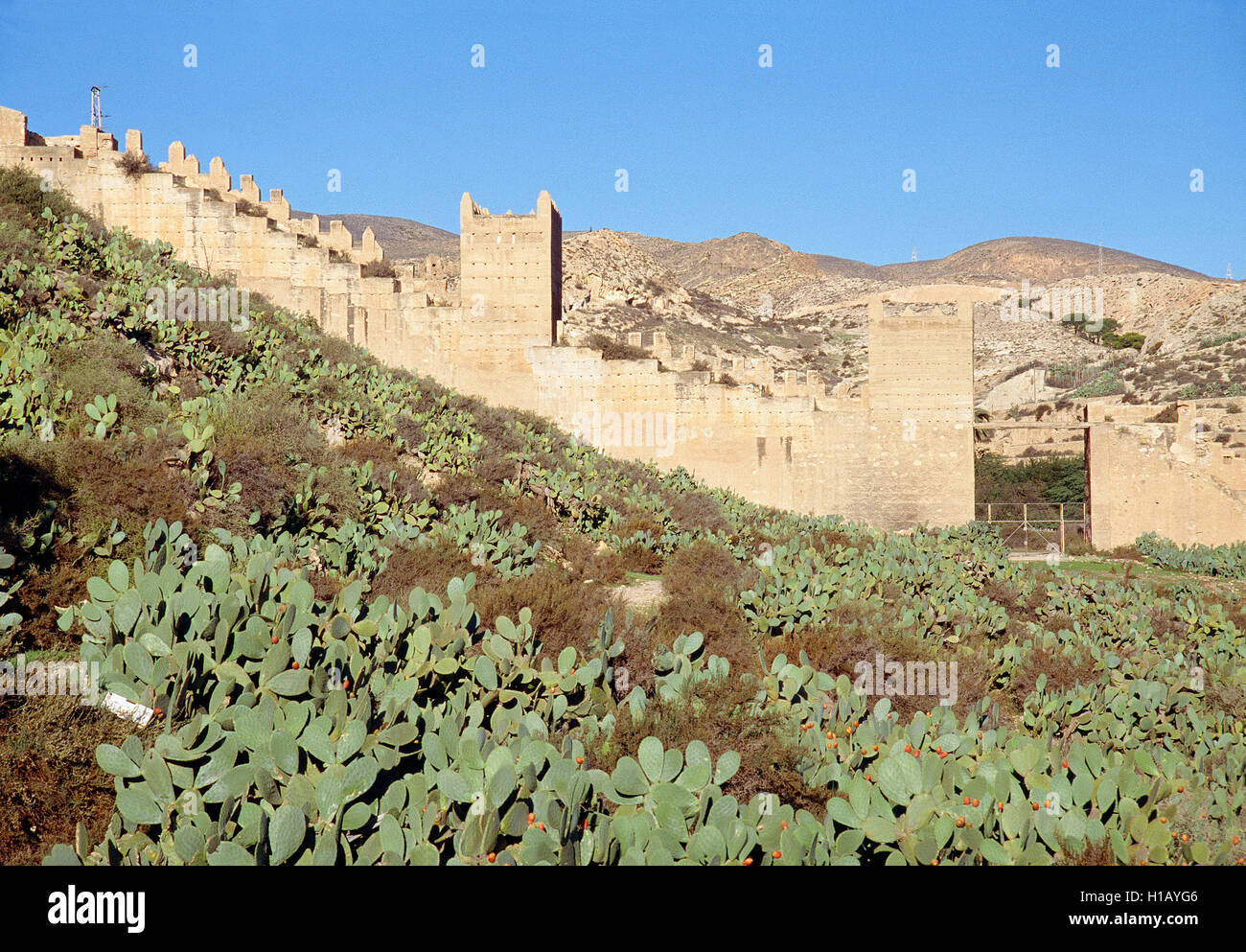 Alcazaba walls. Almeria, Andalucia, Spain. Stock Photo