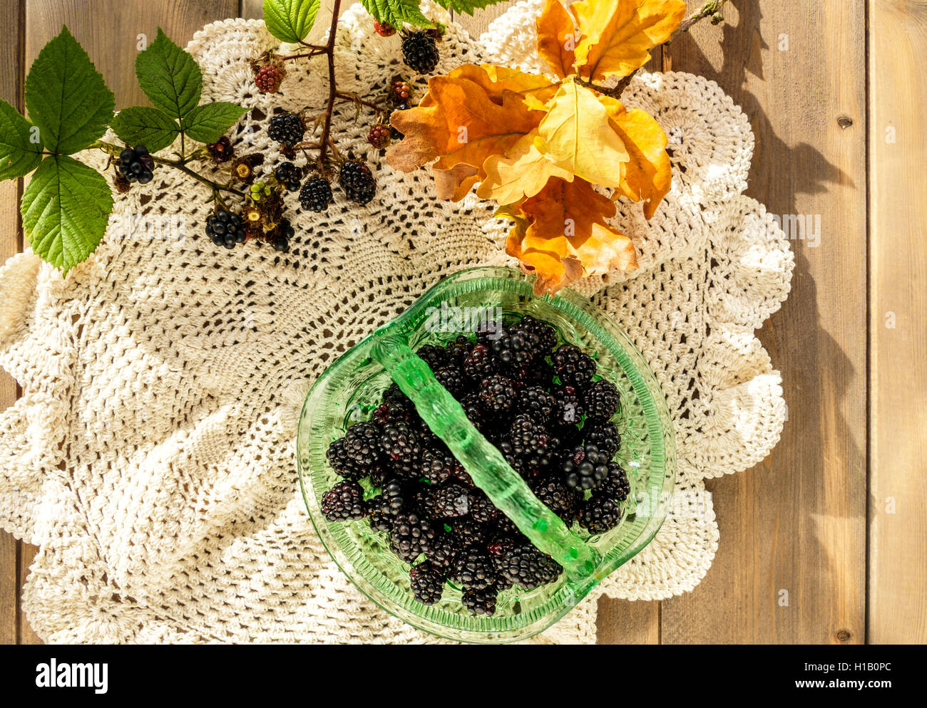 Vintage green glass basket dish full of juicy blackberries with oak leaves and blackberry sprigs on crocheted lace doily cloth o Stock Photo