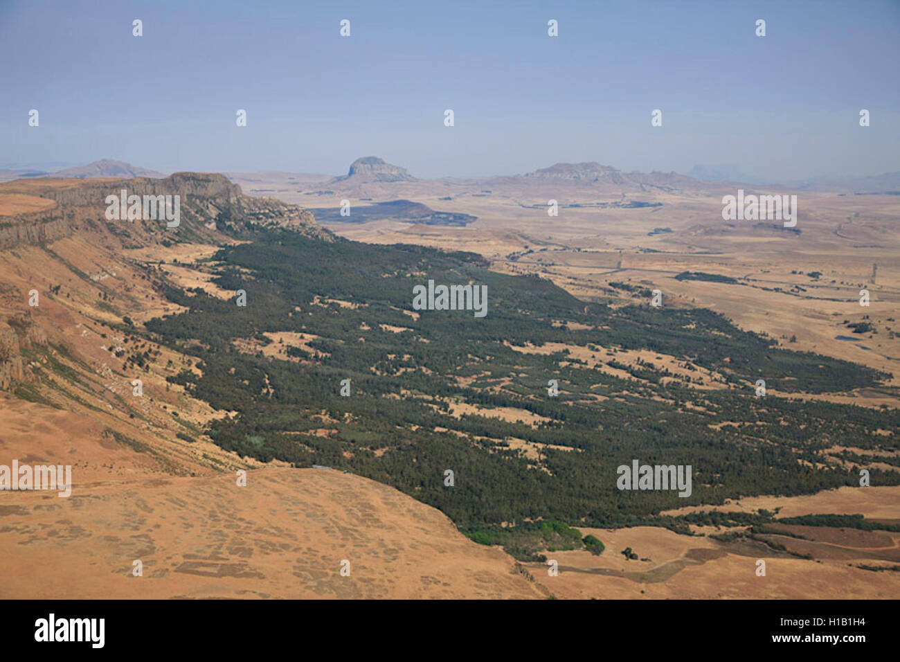 Aerial photograph of trees on the hillside of the Platberg in the Freestate, South Africa Stock Photo