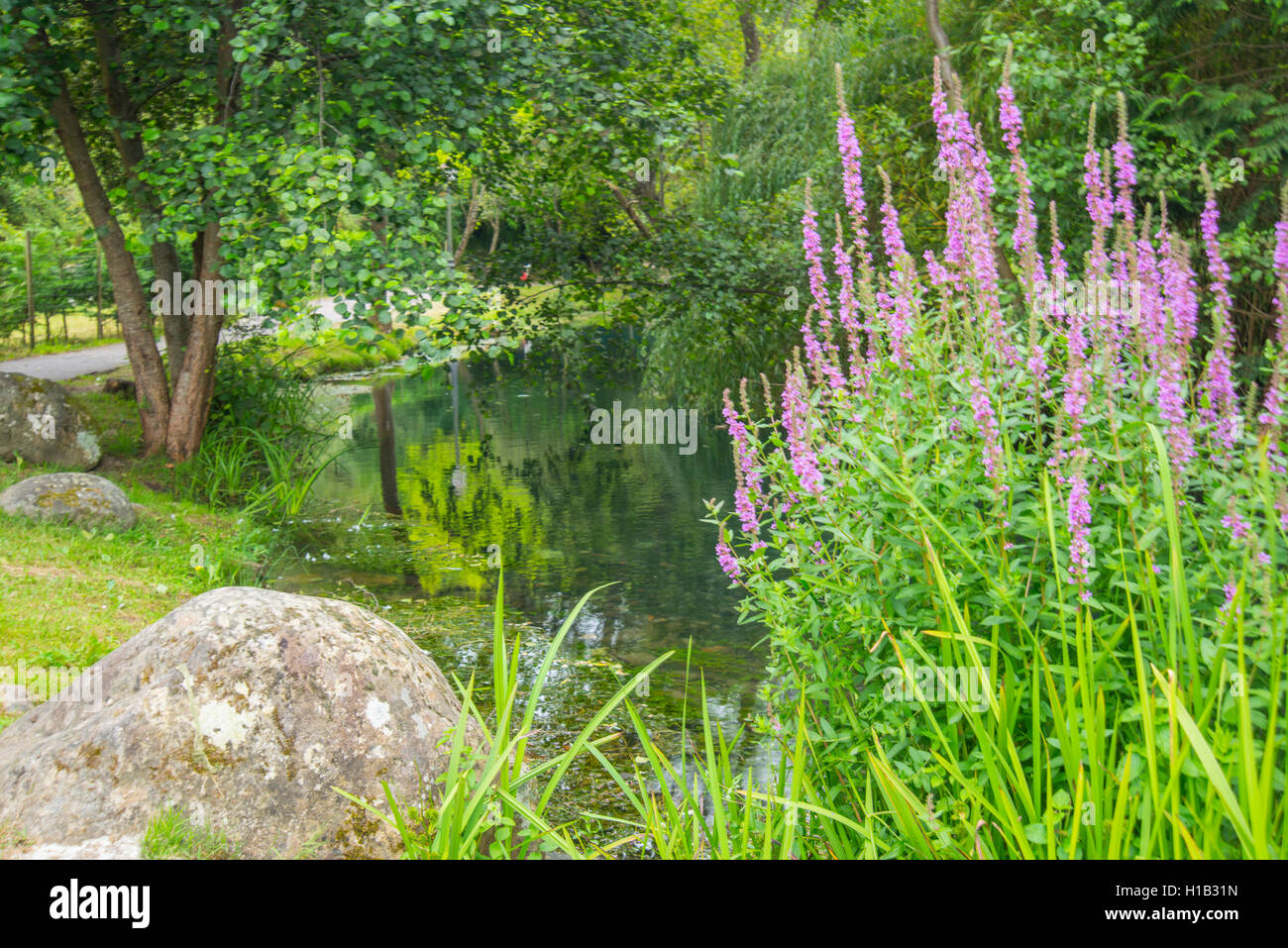 River La Fuentona. Ruente, Cantabria, Spain. Stock Photo